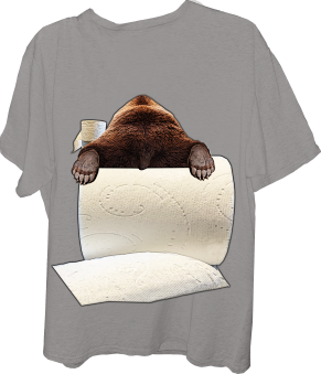 Bear resting-bear laying down-toilet paper, bear down