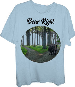 Bear-Bear Right-bear walking-T shirt