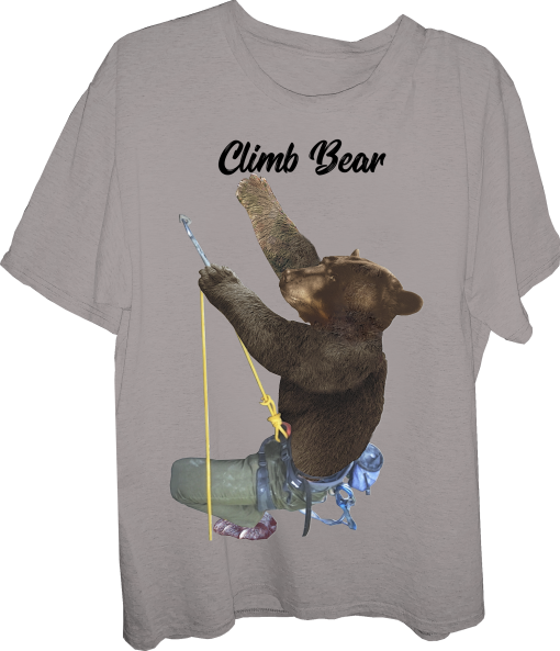 bear-climb-climb bear-rock climber-mountain climber