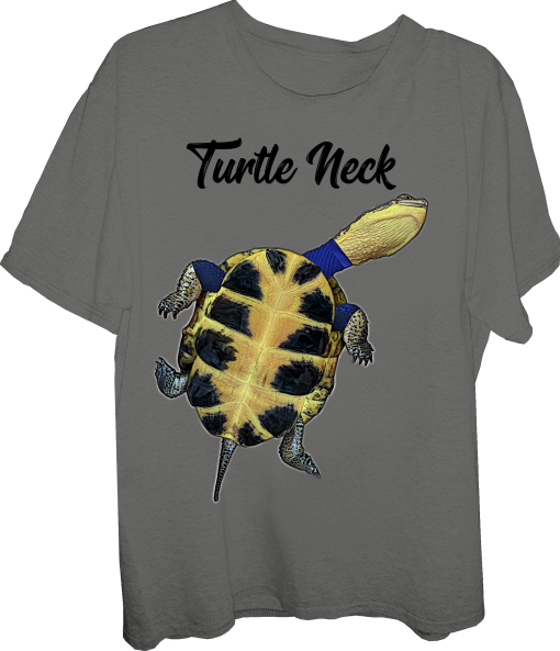 turtle-Turtle Neck-Blandings turtle