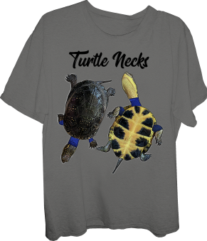 turtle-Turtle-Turtle Necks-turtle neck-Blandings Turtle