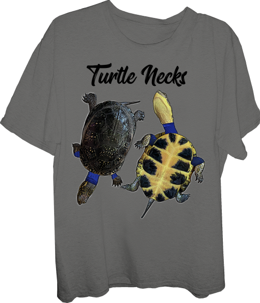 turtle-Turtle-Turtle Necks-turtle neck-Blandings Turtle