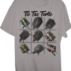 turtles-turtle-Blandings turtle-Tic Tac Turtle