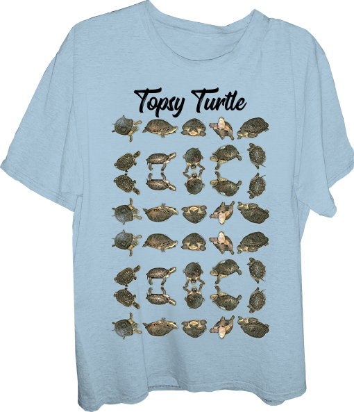 Turtle-turtles-Topsy Turtle-Blandings Turtles