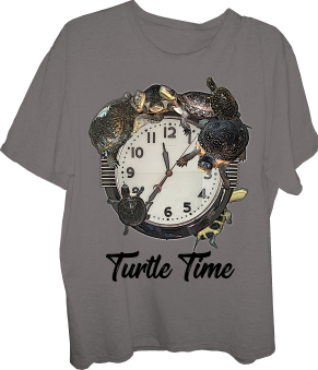 Turtle-Turtles-Blandings turtle-Turtle Time